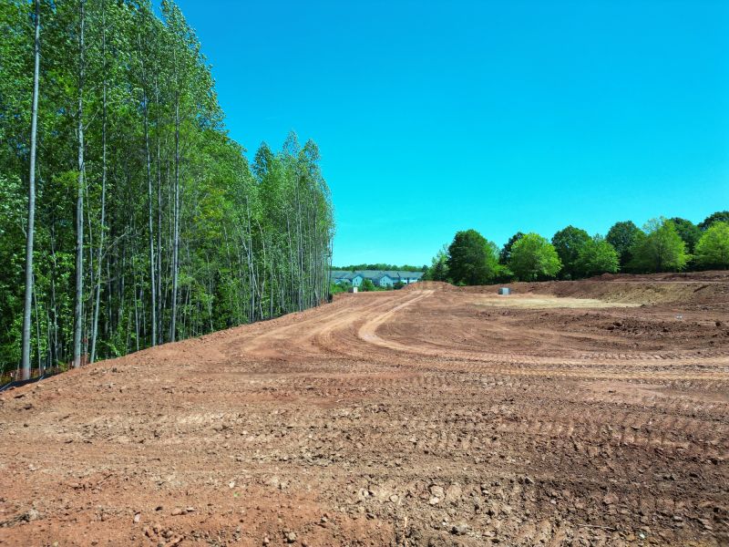 Landscape Grading and Shaping